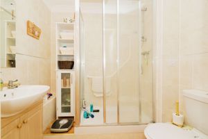 SHOWER ROOM- click for photo gallery